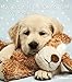 Niedliche Hundekinder 2018: teNeues Wandkalender by 