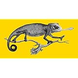 Chamäleon (Leinwand)