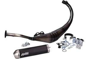 Polini Evolution Auspuff für RS50, Rieju RS2 und TZR, k.a.