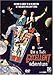 Bill & Ted's Excellent Adventure [DVD]