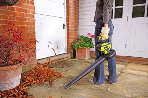 Ryobi 5133000676 Akku-Blasgerät 36 V RBL36B - 2