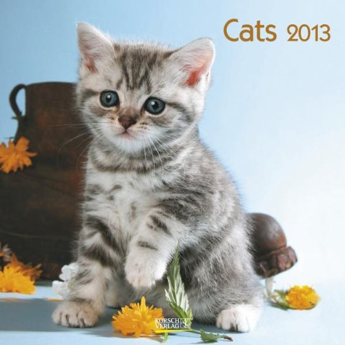 Cats 2013. Broschürenkalender