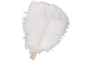 Niaciswe Plumes d’Autruche 10 Pièces Plumes d'Autruche Naturels 25–30 cm Plume Décoration Plumes Blanc pour Maison Décoration Costumes Mariage Fête Décoration Embellissement