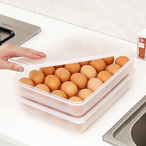 Buy HOKIPO Clear Plastic Egg Container Dispenser Box with Lid for 2