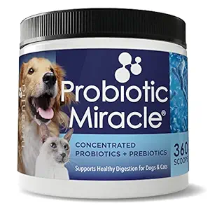 Probiotic Miracle Dog Probiotics for Dogs (360 Servings)