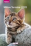 Terminkalender Katzen 2020 by 