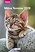 Terminkalender Katzen 2020 by 