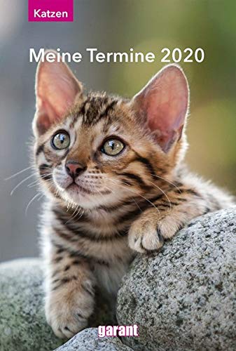 Terminkalender Katzen 2020