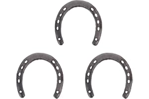 NUOBESTY 3 Piezas de Hierro Fundido Herradura Decoración de Pared 5 Agujeros en Cada Lado Placa de Arte Recorte de del Oeste del País Caballos de de Rodeo para Paredes O