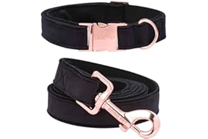 ARING PET Hundehalsband und Leine Set, Velvet Hundehalsband, Hundehalsband und Leine, verstellbares Hundehalsband für kleine mittelgroße Hunde.