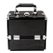 Professional Large Beauty Vanity Cosmetic Makeup 9 compartment Case Box Storage Aluminium (Black)