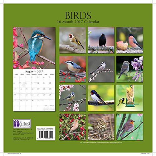 Birds 16 Month 2017 Calendar