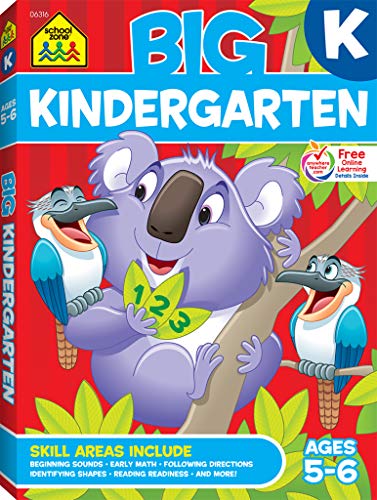 Big Kindergarten Workbook livre