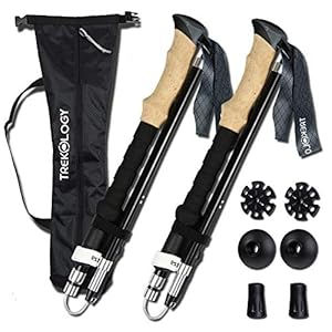 cleebourg trekking pole