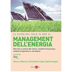 La guida del Sole 24 ore al management dell'energia