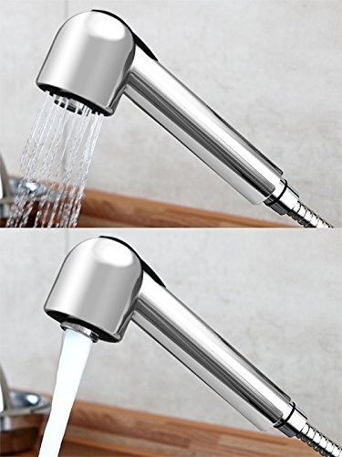 Sanlingo Ersatz Brausekopf Geschirrbrause mit 2 Strahlarten und Antikalk Noppen Chrom