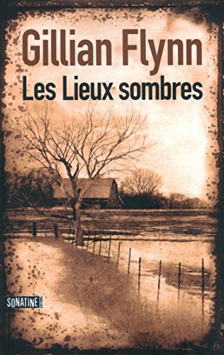 Book's Cover of Les Lieux sombres