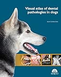 Image de Visual atlas of dental pathologies in dogs