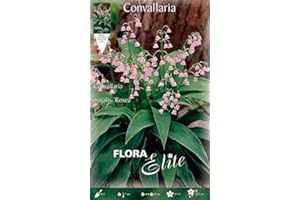 PERAGA GARDEN BULBI PRIMAVERILI MUGHETTO ROSA CONVALLARIA MAJALIS ROSEA (CONFEZIONE DA 3 BULBI) BULBS