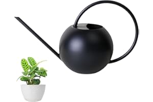 LPAMABA Arrosoir en Acier Inoxydable, 400 ML Arrosoir Jardin Metal Petit Arrosoir à Long Bec Arrosoir Plante d'Intérieur Arrosoir Bec Fin Long Arrosoir Metal Petit Arrosoir Plante Arrosoir en Métal