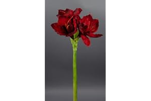 SEIDENBLUMEN ROß Große Amaryllis 65cm dunkelrot GA Seidenblumen Kunstblumen künstliche Blumen