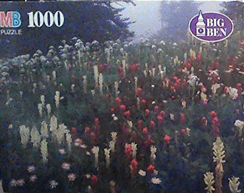 Preisvergleich Produktbild 1000 Piece Puzzle- Mount Rainier National Park, Wa by Bigben