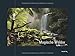 KUNTH Kalender Magische Wälder 2014 by