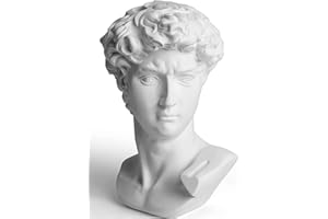 YiYFiT Resin Bust Statue Figur,6" 15cm Griechische Mythologie David Bust Sculpture Figur für Home Ornament Büro Bücherregal Dekor Skizze Praxis DIY Kunst Geschenk-David