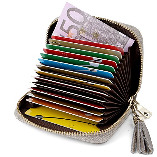 Porte Cartes de Crédit Femme Cuir Fermeture Eclair RFID (Gris Argenté)
