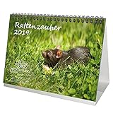 Rattenzauber · DIN A5 · Premium Tischkalender/Kalender 2019 · Ratten · Haustier · Nager · Kaninchen · Hasen · Edition Seelenzauber by 