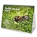 Rattenzauber · DIN A5 · Premium Tischkalender/Kalender 2019 · Ratten · Haustier · Nager · Kaninchen · Hasen · Edition Seelenzauber by 