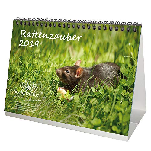 Rattenzauber · DIN A5 · Premium Tischkalender/Kalender 2019 · Ratten · Haustier · Nager · Kaninchen · Hasen · Edition Seelenzauber