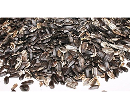 Sonnenblumenkerne 10 kg Anhaltiner Premiumfutter - 3