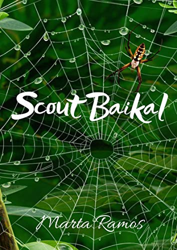 Scout Baikal (Irish Edition)