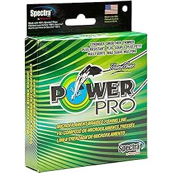 Power Pro - Spectra Line 275, Color Green, Talla 0.190 mm