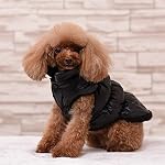 Rantow-Autunno-Inverno-Cane-di-Cane-da-Compagnia-Caldo-Cappotto-7-Colori-Pet-Classico-Outwear-Gi-Giacca-per-Teddy-Yorkshire-Terrier-Chihuahua-Pomerania