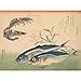 Produktbild Utagawa Hiroshige Horse Mackerel Shrimp Or Prawn Large Art Print Poster Wall Decor Premium Mural Pferd Große Kunst Wand Deko