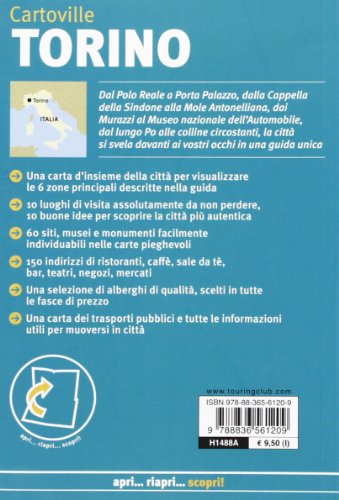 Book's Cover of Torino