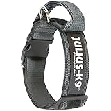 JULIUS-K9, 200HA-K-2015 Color & Gray series-K9-Halsband mit Haltegriff, Sicherheitsverschluss und Logo und Sicherheitsverschluss, 50 mm*49-70 cm, verstellbar, schwarz-grau