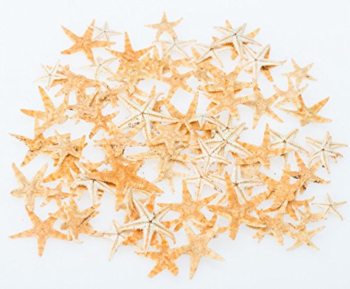 NaDeco® Sugar Seesterne 1-2cm, 100 Stück | Deko Seestern | Mini Seestern | Seesternchen | maritime Dekoration