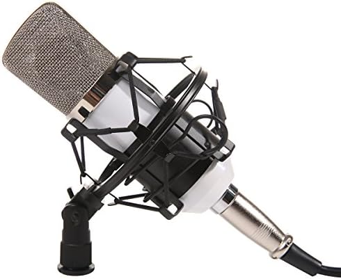 Dolotu BM Series Dynamic Condenser Microphone Sound Studio Recording Mic+ Shock Mount + Microphone Windshield- Professional Studio Broadcasting & Recording Microphone SetEnjoying Singing Speaking High Party (BM700, White)