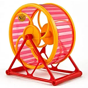 Sage Square 12.5 cm Jumbo Running Cum Jogging Cum Exercise Wheel for Hamster / Dwarf / Gerbil / Mice / Mouse