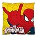Produktbild SPIDERMAN Auflage aus Polyester. Vakuum-Verpackung 35x35 cm. ARDSM8361