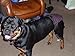 Dog in Season Nappy Pants / Diaper - Size Extra Large - Dotty Black