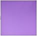 Bazzill Basics Papier 25 Blatt Dot-Lineatur (punktkariert) zum Basteln, Violett Grape Jelly