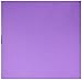 Bazzill Basics Papier 25 Blatt Dot-Lineatur (punktkariert) zum Basteln, Violett Grape Jelly