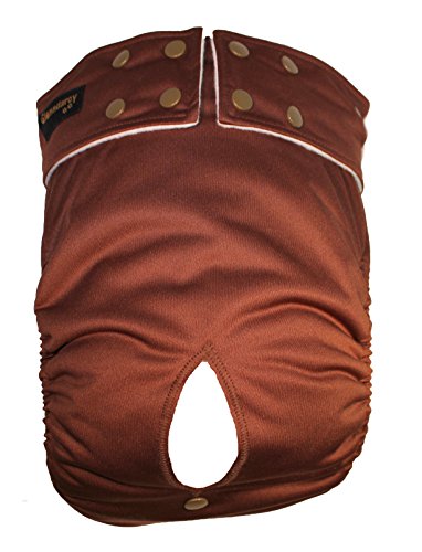 Size-Large-Premium-Waterproof-Female-Dog-Pants-Nappy-Popper-Waistband-Washable-Pads-Coffee