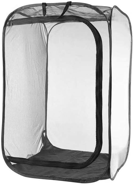 Hábitat para Insectos - Jaula de Malla para Insecto Palo, Oruga y Otros - Kit de Casa Red Terrario con Flujo de Aire