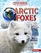 Produktbild Arctic Foxes (Polar Animals: Life in the Freezer)
