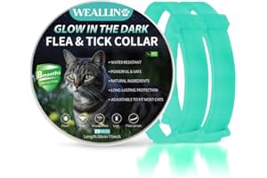 WEALLIN Lumineux Collier Anti-puces pour Chats, Collier Anti Puces et Tiques pour Chats Ajustable et Imperméable, Protection Naturelles et Efficace Pendant 8 Mois à Tous Les Chat, Bleu Ciel (2 PCS)